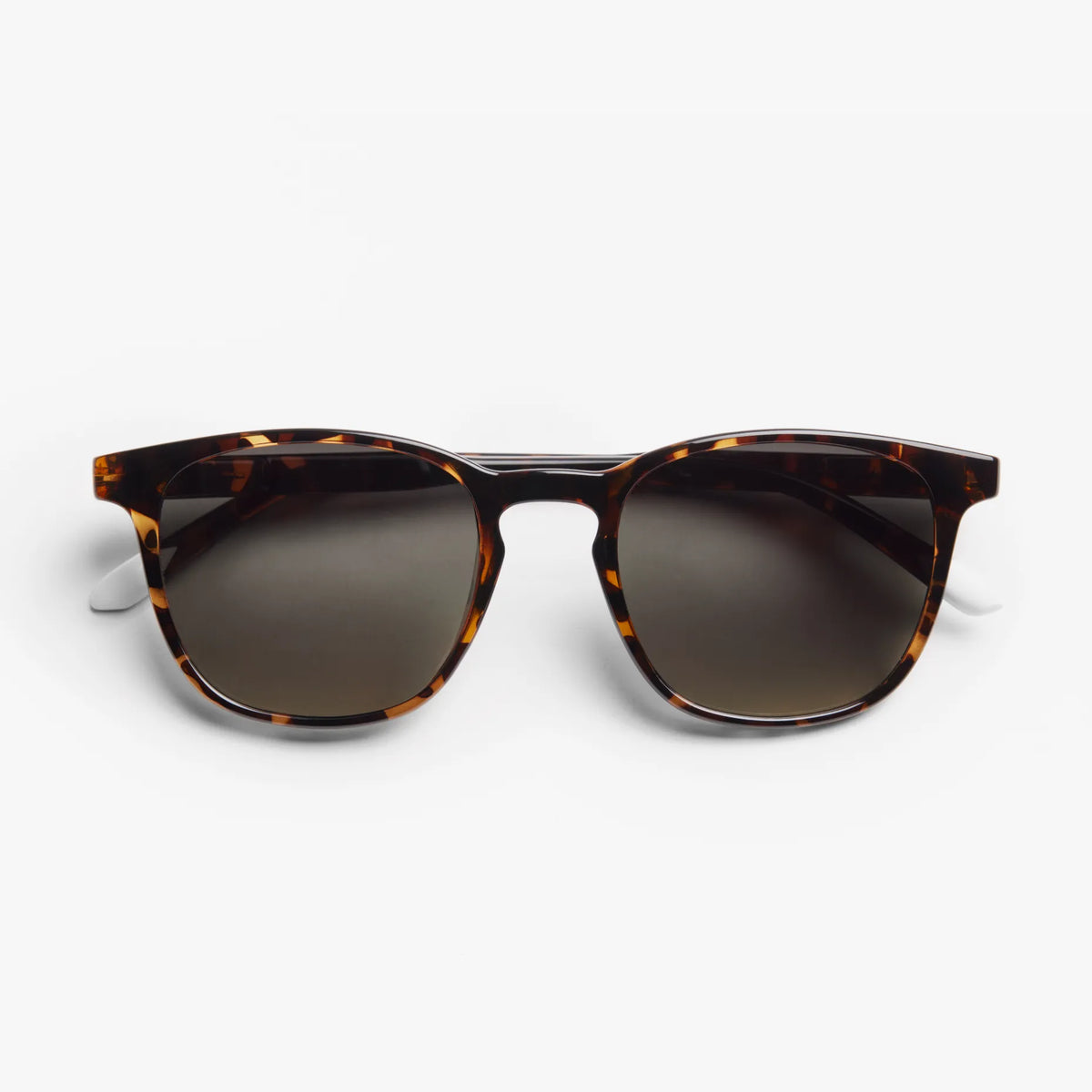 Dalston Sunglasses | Glossy Tortoise