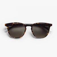 Dalston Sunglasses | Glossy Tortoise