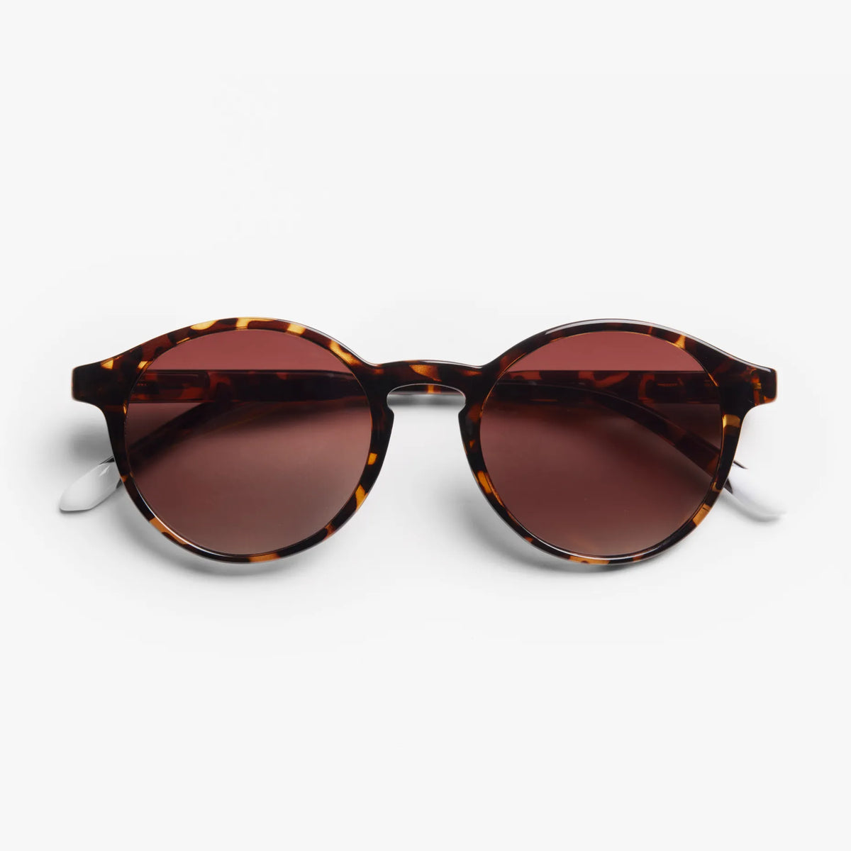 Le Marais Sunglasses | Glossy Tortoise