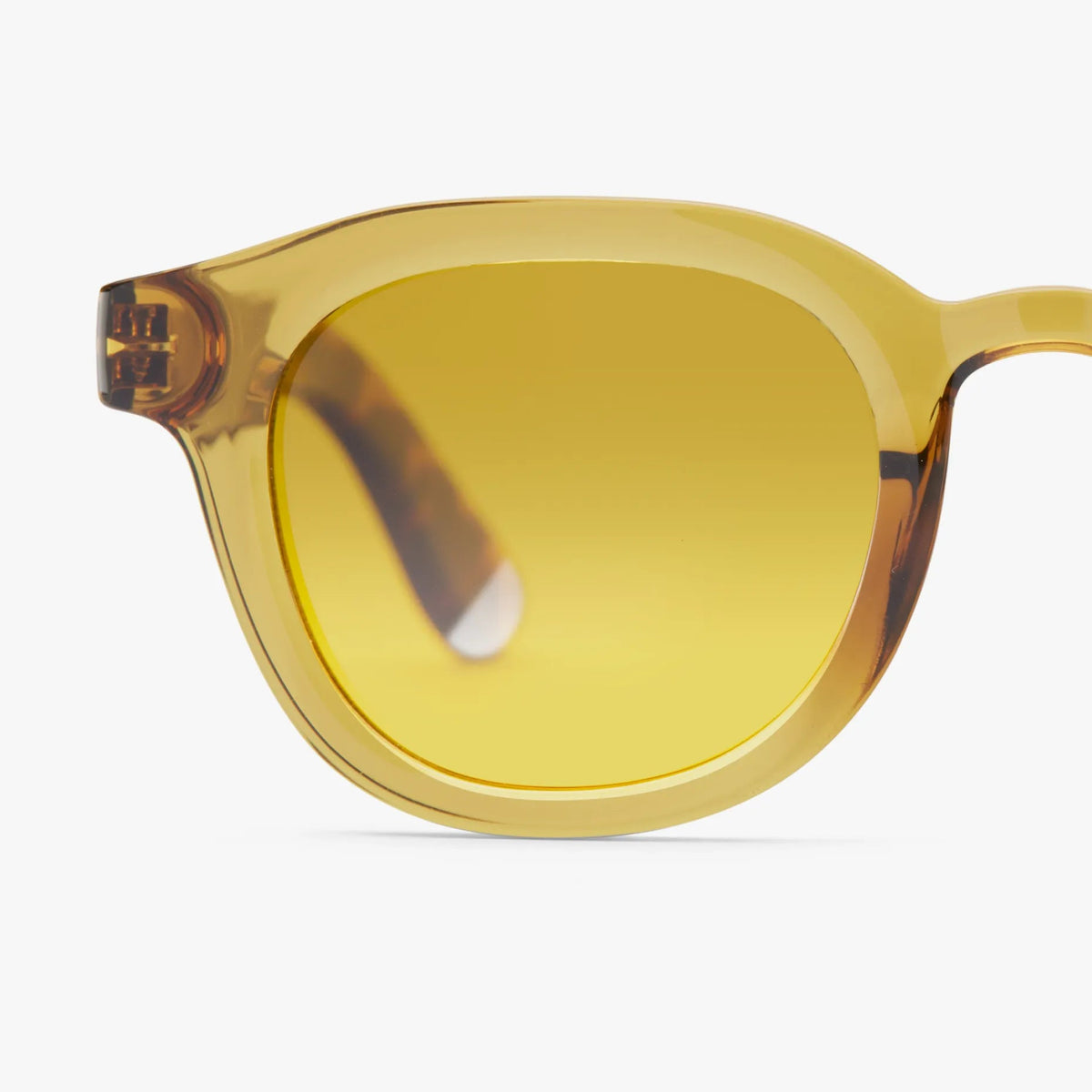 Andy Glossy Sunglasses | Ecru Olive Combi