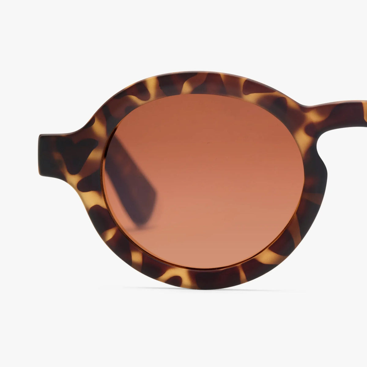 Charles Sunglasses | Matte Tortoise