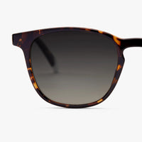 Dalston Sunglasses | Glossy Tortoise
