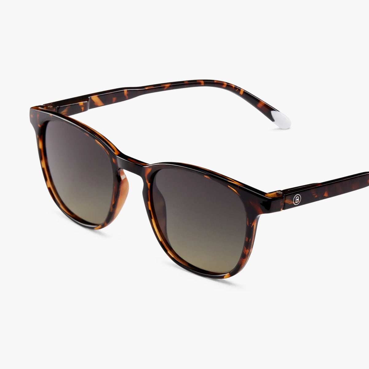 Dalston Sunglasses | Glossy Tortoise