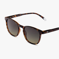 Dalston Sunglasses | Glossy Tortoise