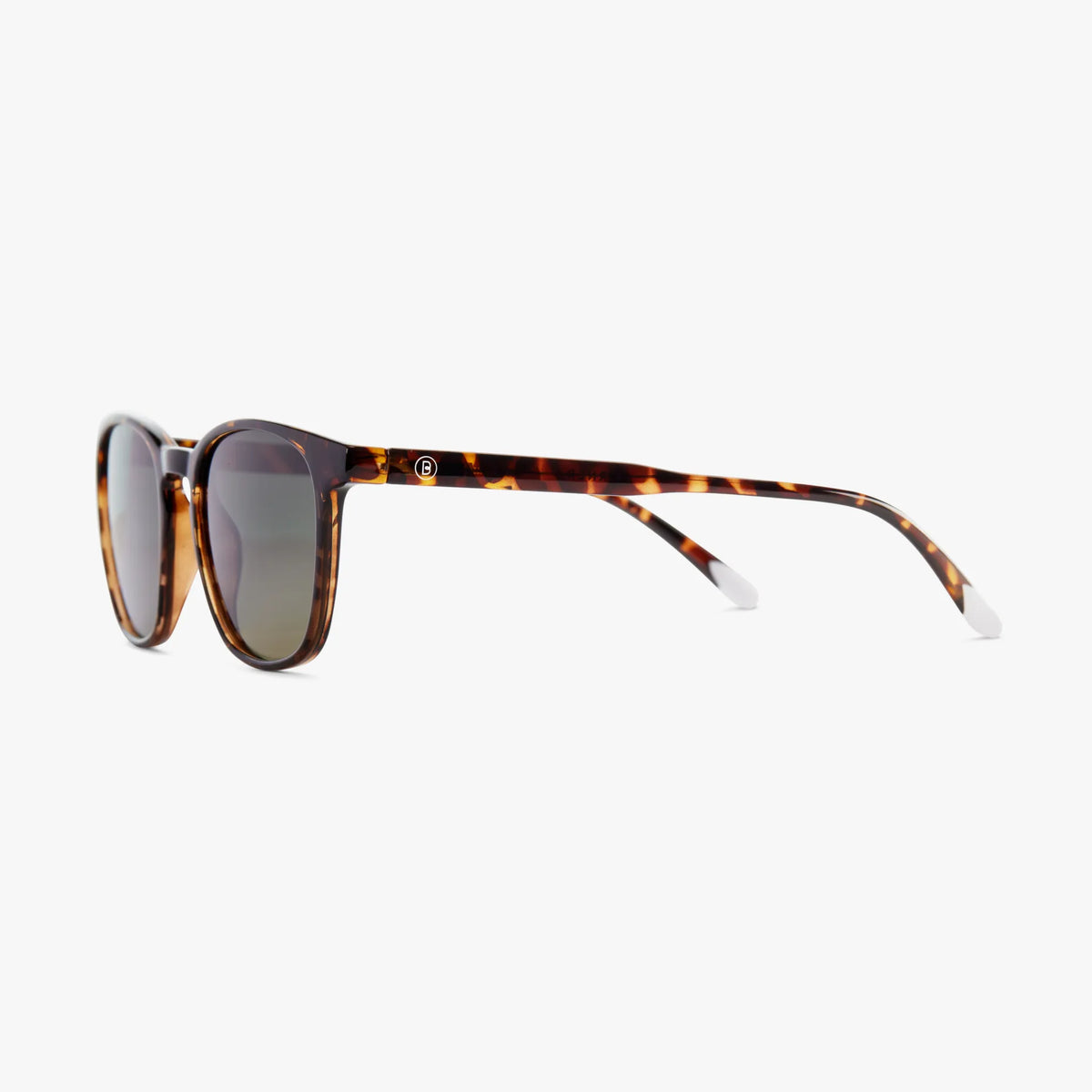 Dalston Sunglasses | Glossy Tortoise