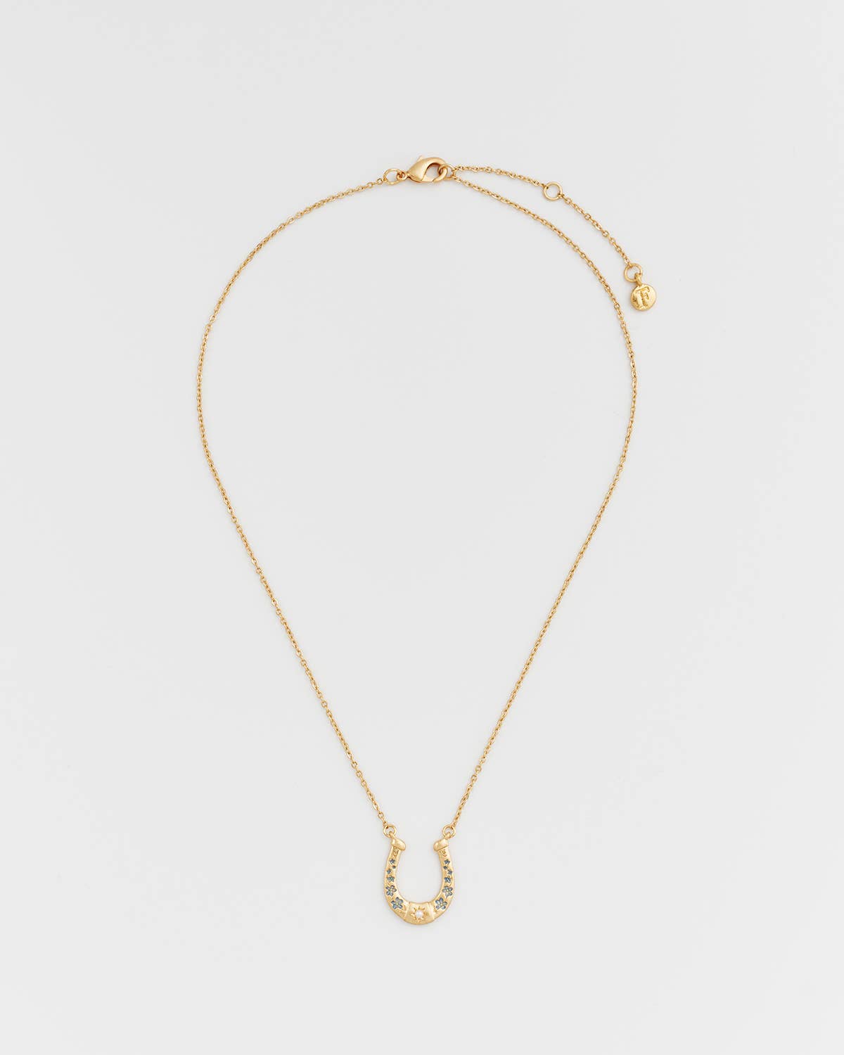 Horseshoe Necklace