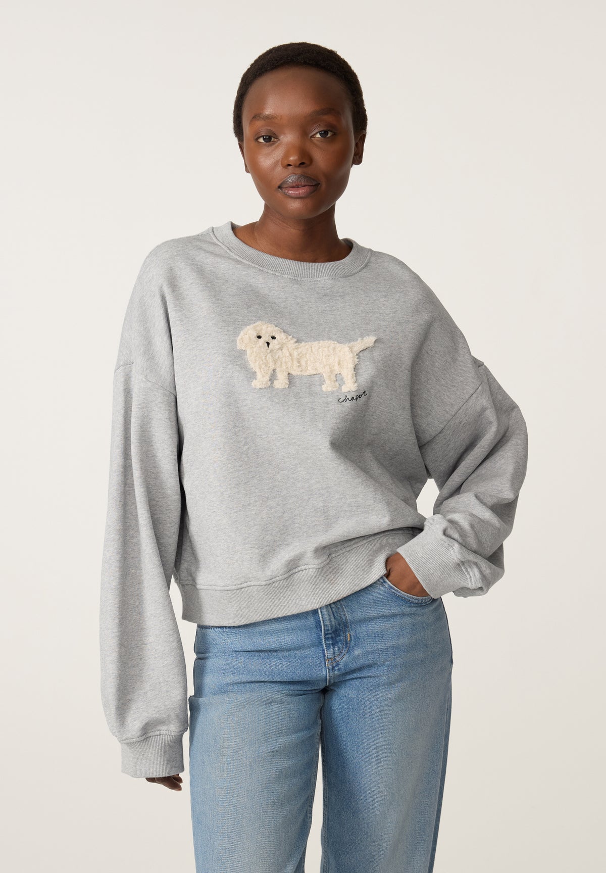Amy Puppy Sweater | Grey