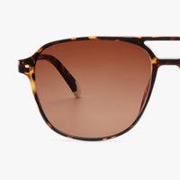 Brad Sunglasses | Glossy Tortoise