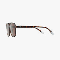 Brad Sunglasses | Glossy Tortoise