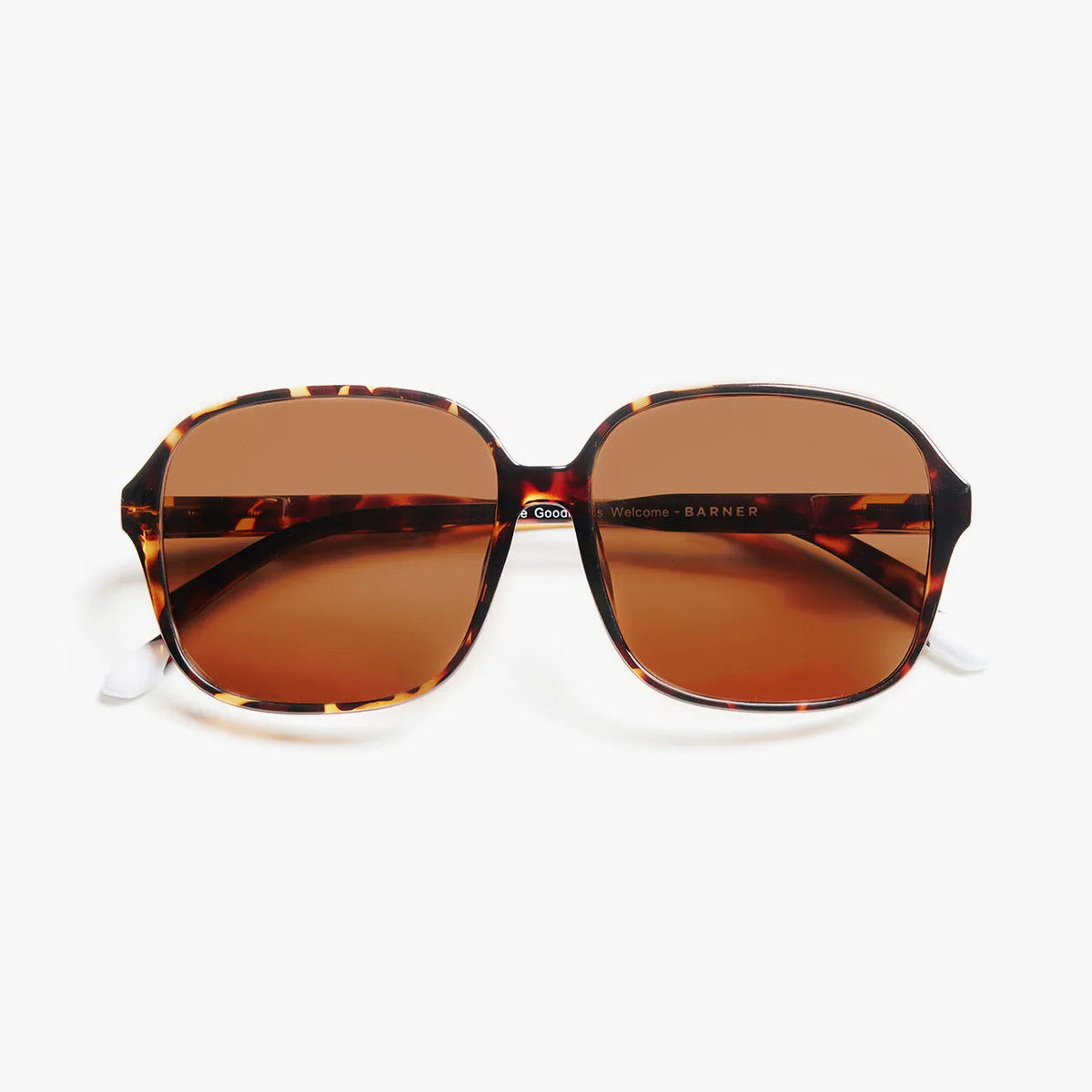 Pascal Sunglasses | Glossy Tortoise