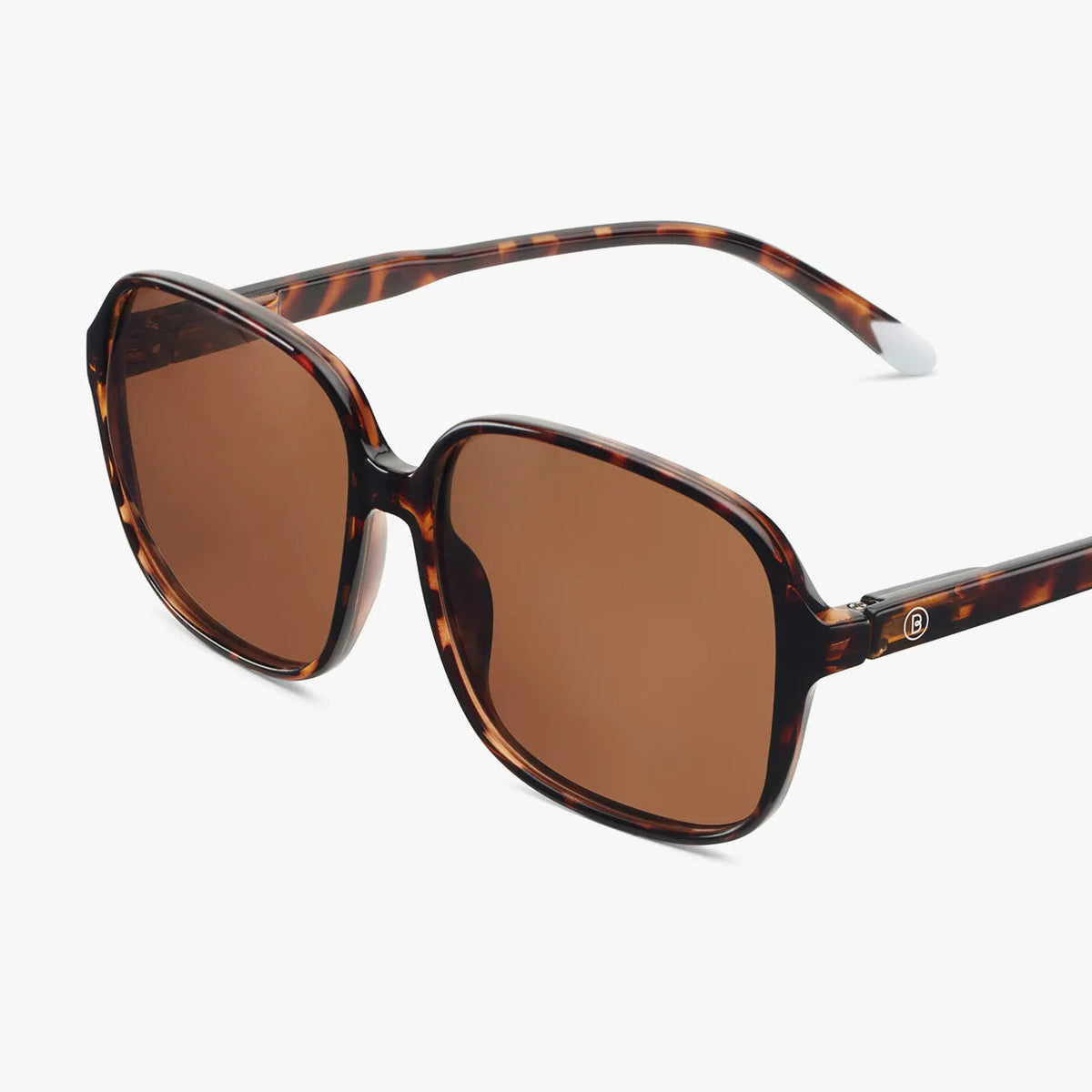Pascal Sunglasses | Glossy Tortoise