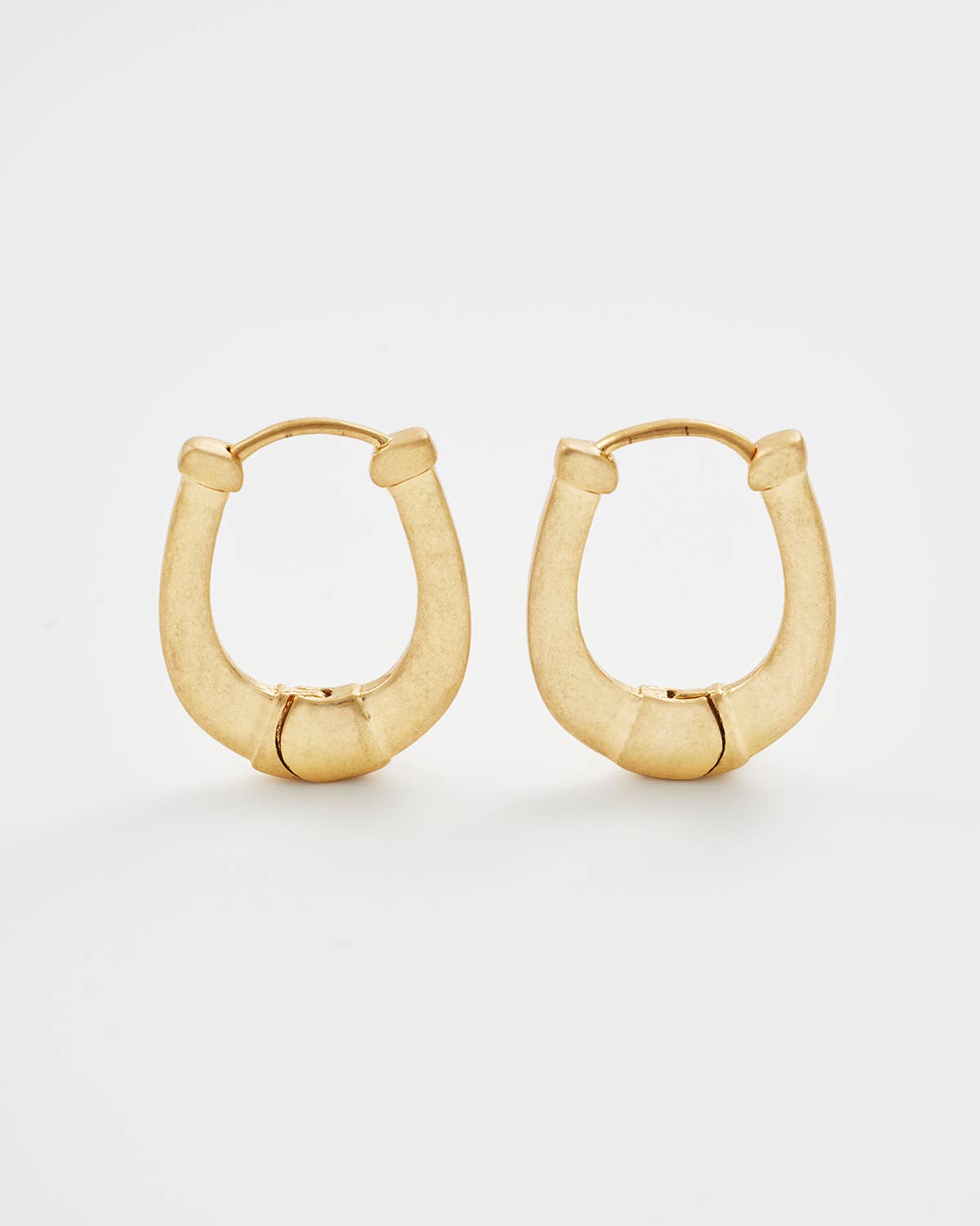 Horseshoe Hoop Earrings
